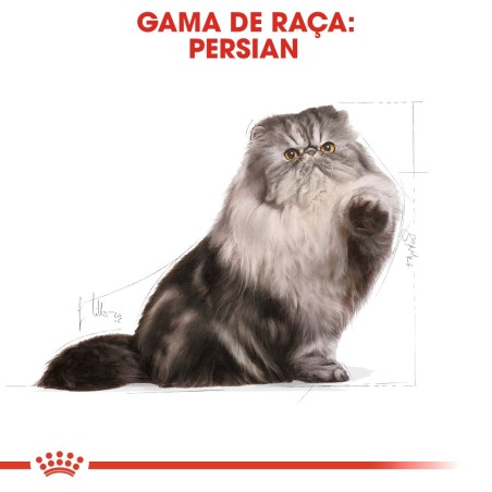 Ração para gato Royal Canin Persian adulto
