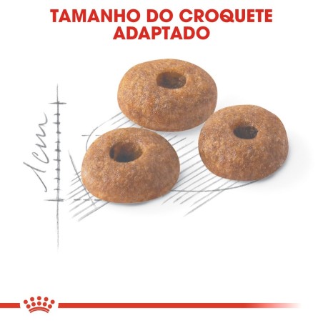 Ração para gato Royal Canin Regular Fit 32