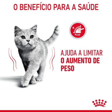 Ração para gato adulto  - Royal Canin Light Weight Care