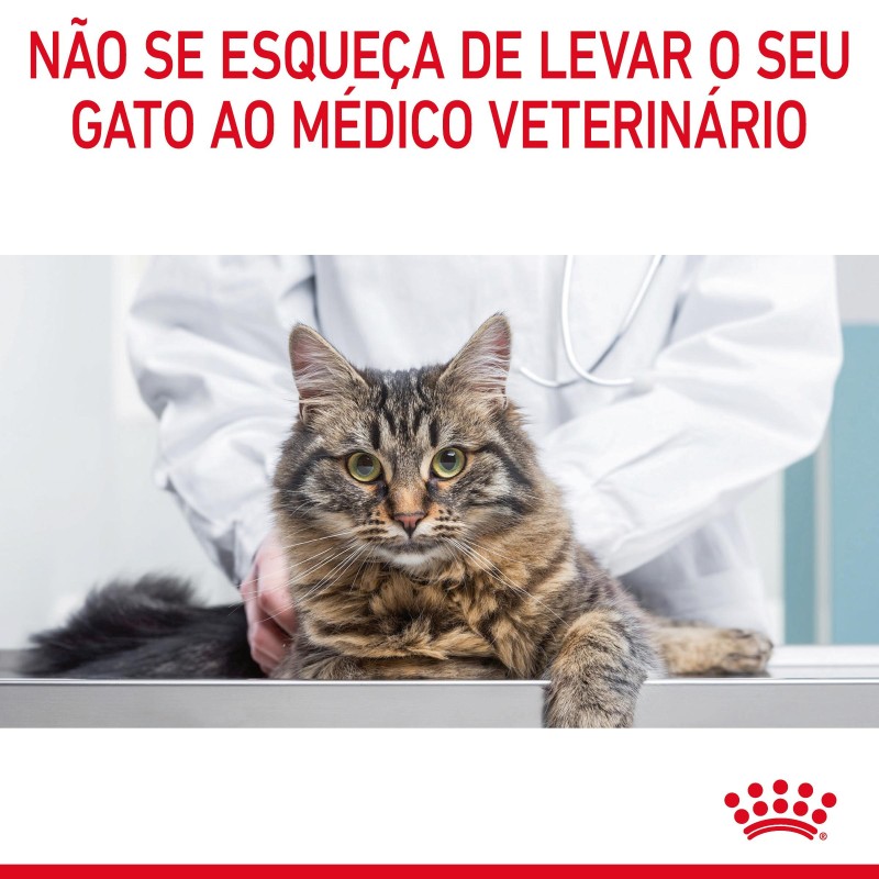 Ração para gato adulto  - Royal Canin Light Weight Care