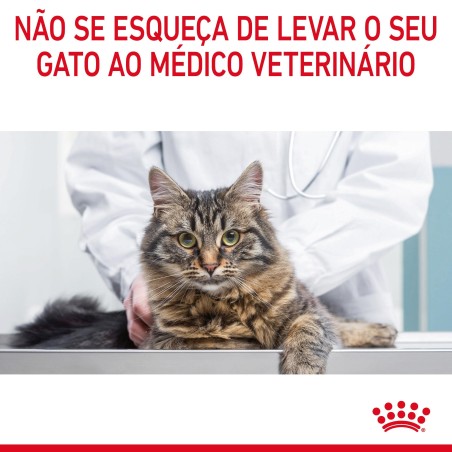 Ração para gato adulto  - Royal Canin Light Weight Care