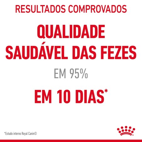 Ração para gato adulto - Royal Canin Digestive Care