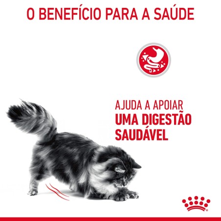 Ração para gato adulto - Royal Canin Digestive Care
