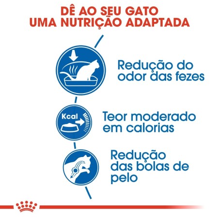 Ração para gato Royal Canin Indoor