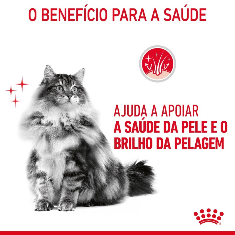 Ração para gato adulto  - Royal Canin Hair & Skin Care
