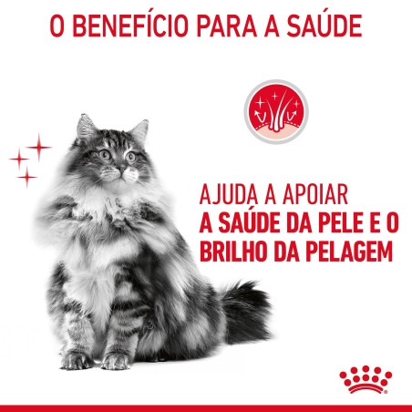 Ração para gato adulto  - Royal Canin Hair & Skin Care