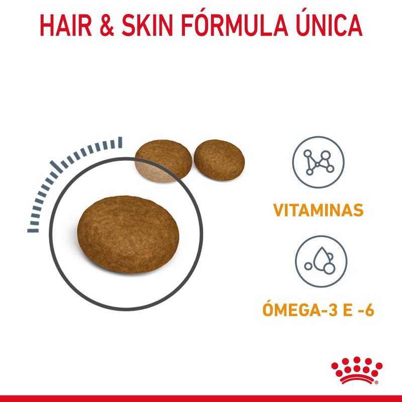 Ração para gato adulto  - Royal Canin Hair & Skin Care