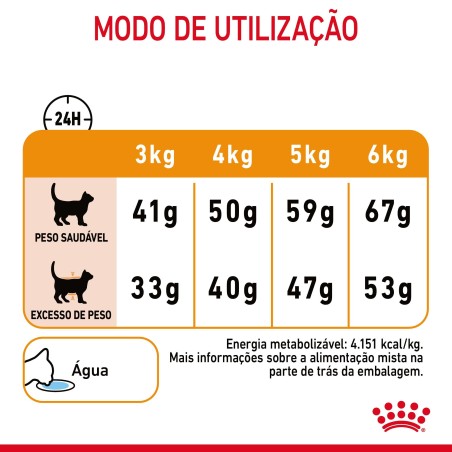 Ração para gato adulto  - Royal Canin Hair & Skin Care
