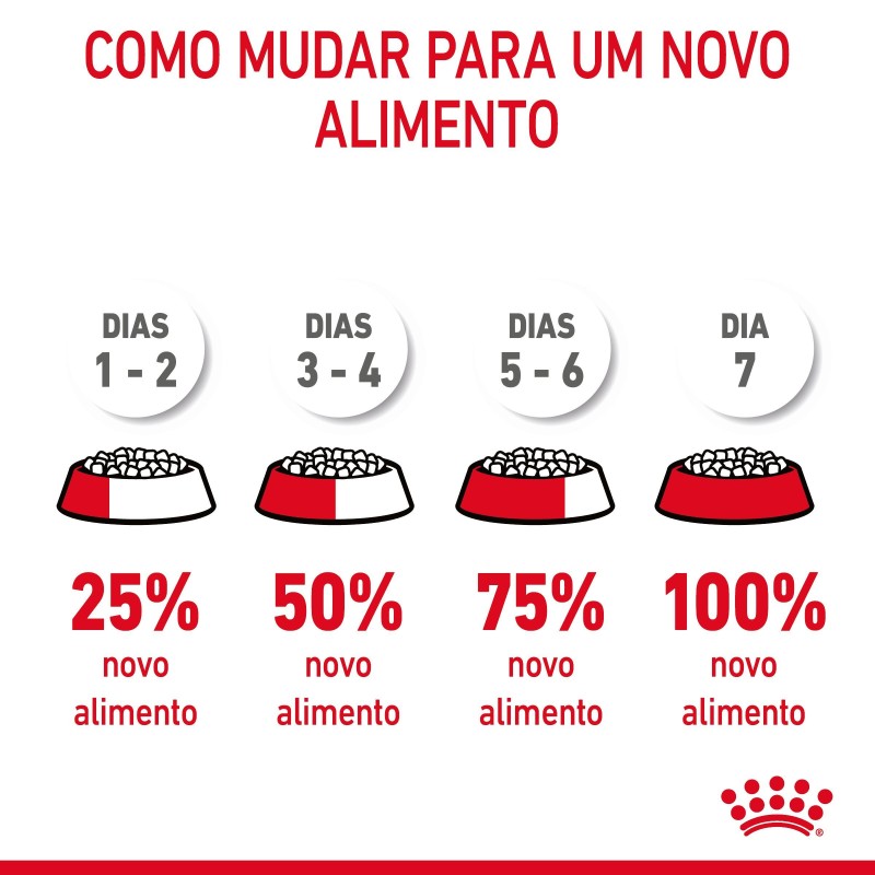 Ração para gato adulto  - Royal Canin Hair & Skin Care