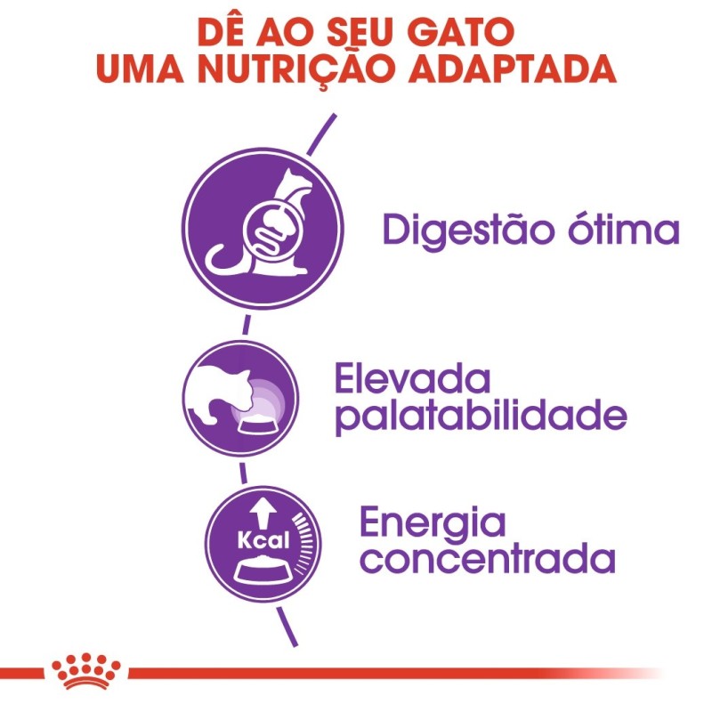 Ração para gato Royal Canin Sensible