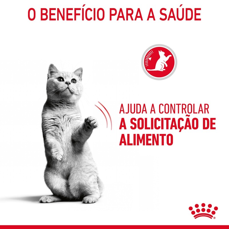 Ração para gato adulto - Royal Canin Appetite Control Care