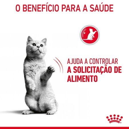 Ração para gato adulto - Royal Canin Appetite Control Care