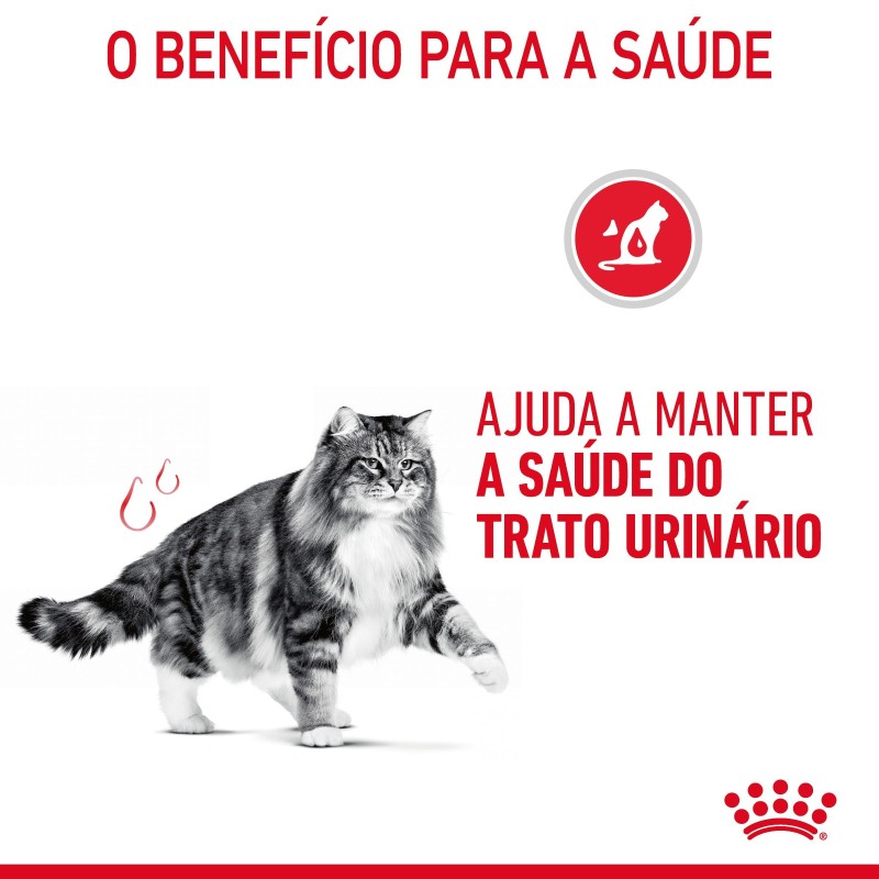 Ração para gato adulto - Royal Canin Urinary Care