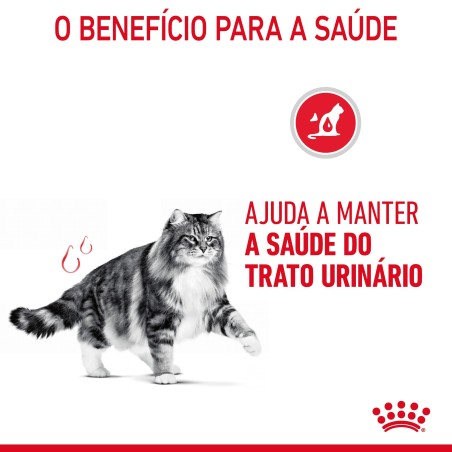 Ração para gato adulto - Royal Canin Urinary Care