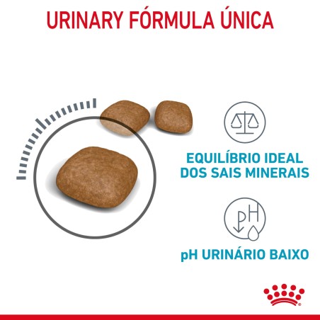 Ração para gato adulto - Royal Canin Urinary Care