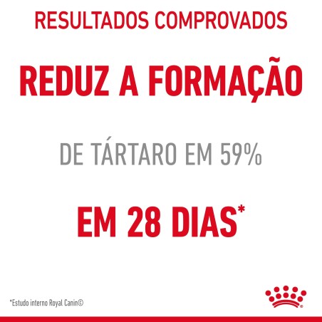 Ração seca para gato adulto - Royal Canin Dental Care