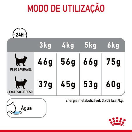 Ração seca para gato adulto - Royal Canin Dental Care