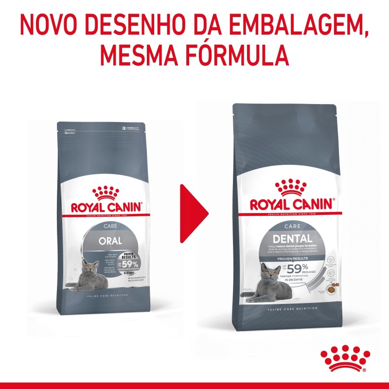 Ração seca para gato adulto - Royal Canin Dental Care