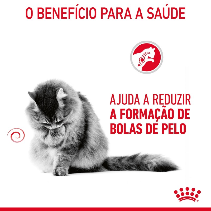 Ração para gato adulto - Royal Canin Hairball Care