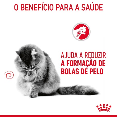 Ração para gato adulto - Royal Canin Hairball Care