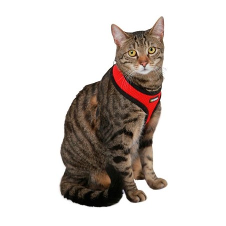 Peitoral ACTIV para gatos
