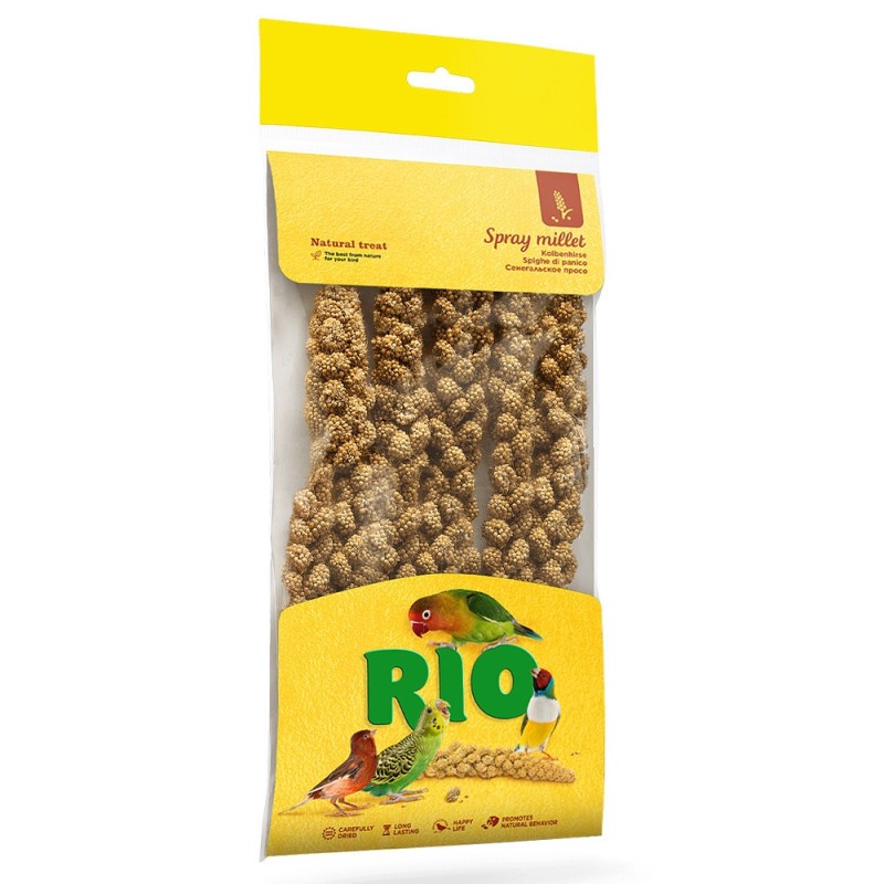 Milho-alvo para aves - RIO
