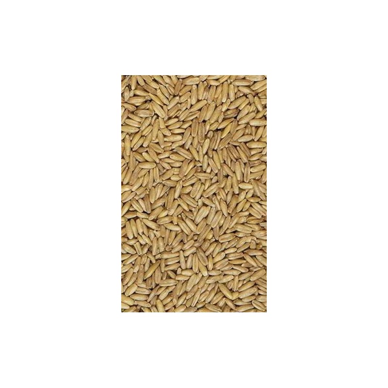 Aveia Descascada 25Kg