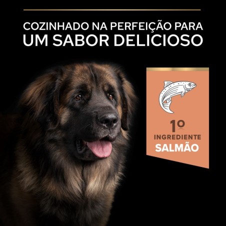 Ração para Cão Pro Plan Sensitive Skin Large Robust Salmão