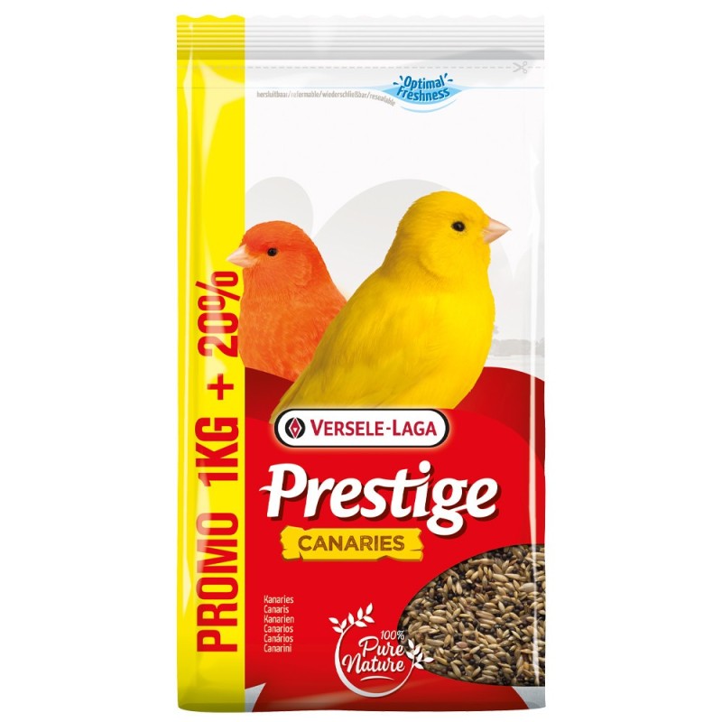 PRESTIGE - Canários