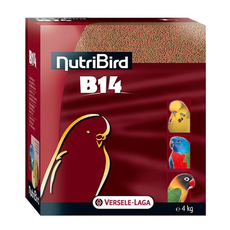 NutriBird B14 - Alimento de manutenção para periquitos e outros pequenos pássaros - Versele - Laga