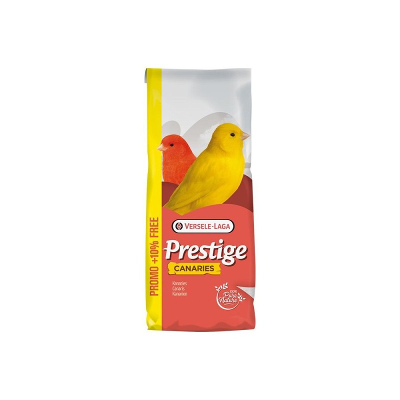 PRESTIGE - Canários Cria (Sem Nabo)