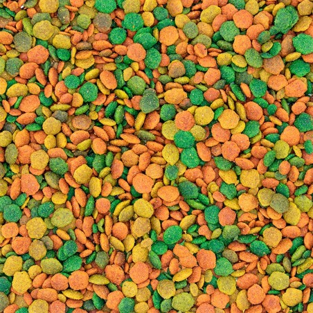 NutriBird G14 Tropical - Alimento de manutenção de grandes periquitos - Versele-Laga