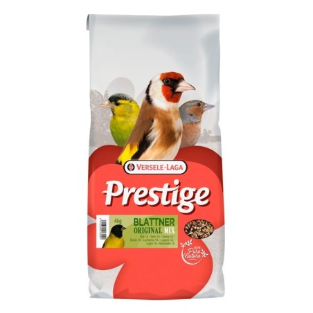 PRESTIGE - Blattner Siskins 1A