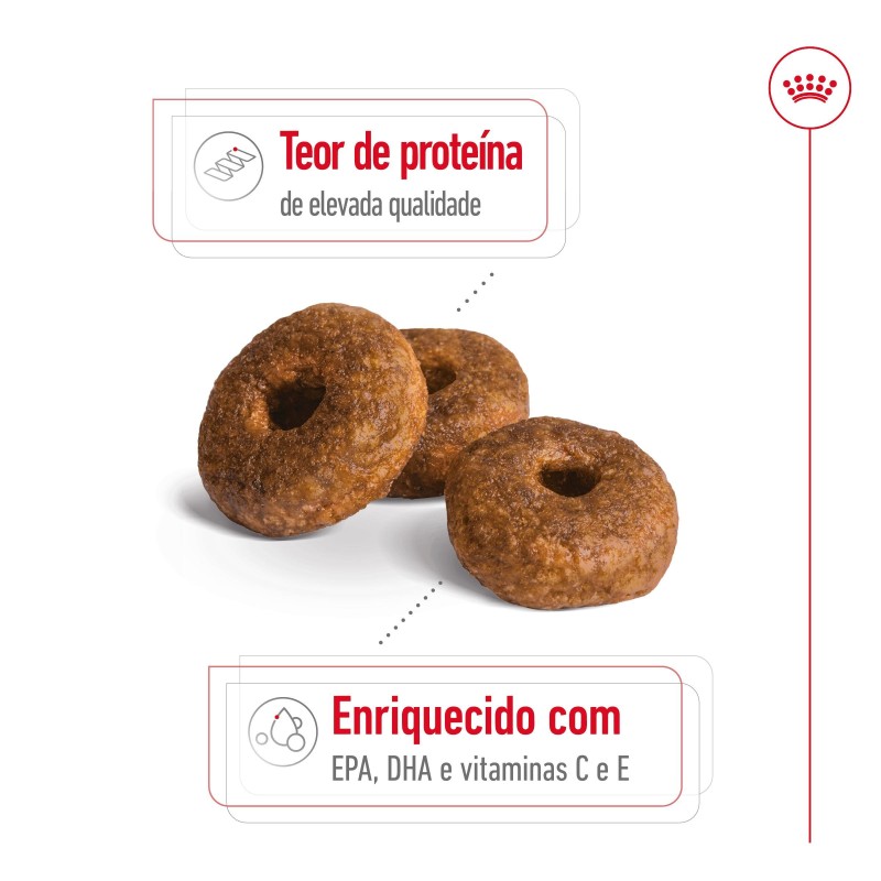 Ração para cão Royal Canin Medium Ageing 10+