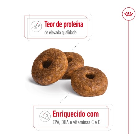 Ração para cão Royal Canin Medium Ageing 10+