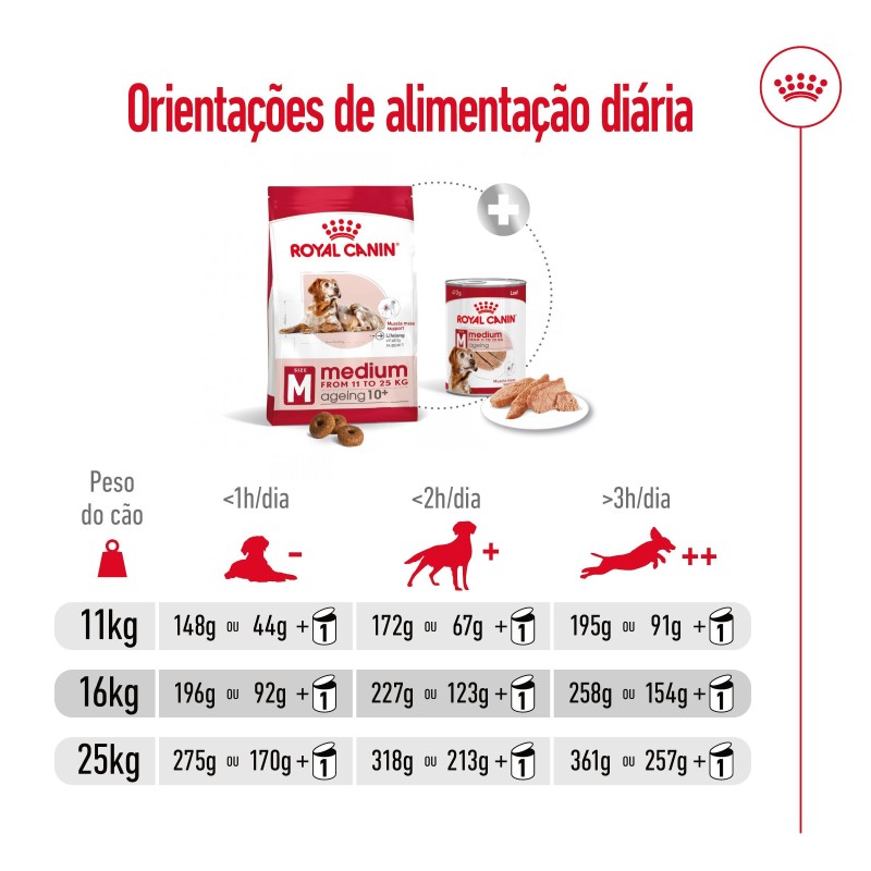 Ração para cão Royal Canin Medium Ageing 10+