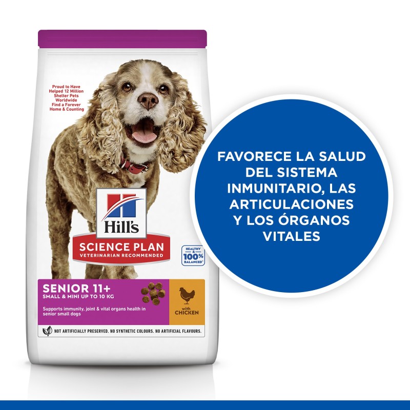 Ração para cães seniores mini e pequenos - Hill's Senior 11+ Small & Mini