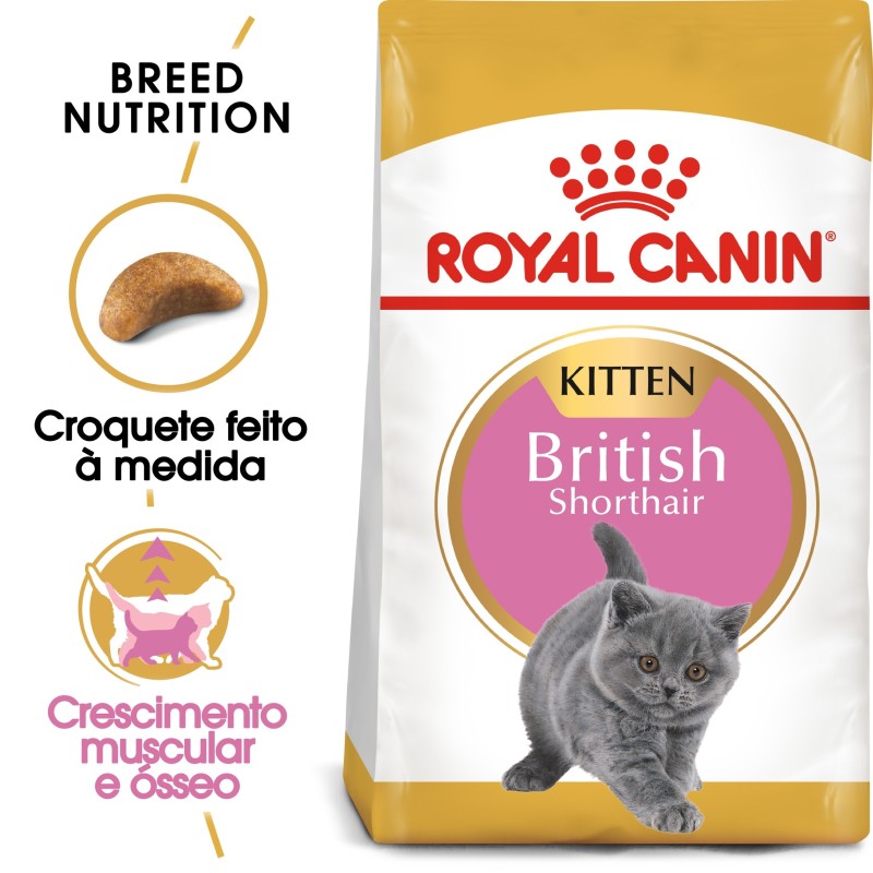 Ração para gato Royal Canin British Shorthair Kitten