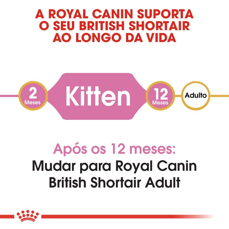 Ração para gato Royal Canin British Shorthair Kitten