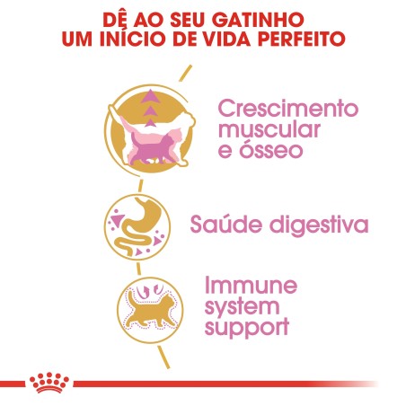 Ração para gato Royal Canin British Shorthair Kitten