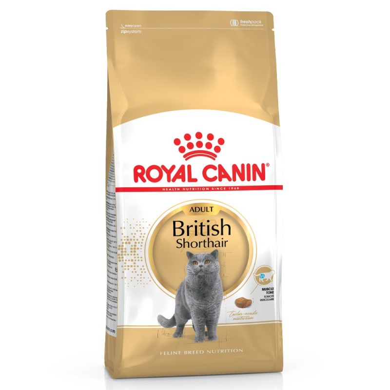 Ração para gato Royal Canin British Shorthair