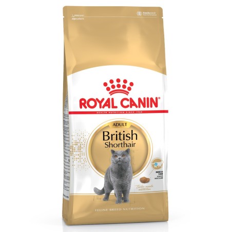 Ração para gato Royal Canin British Shorthair
