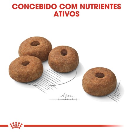 Ração para cão Royal Canin Maxi Esterilizado