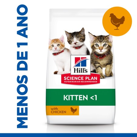 Ração para gato Hill's Kitten - Frango