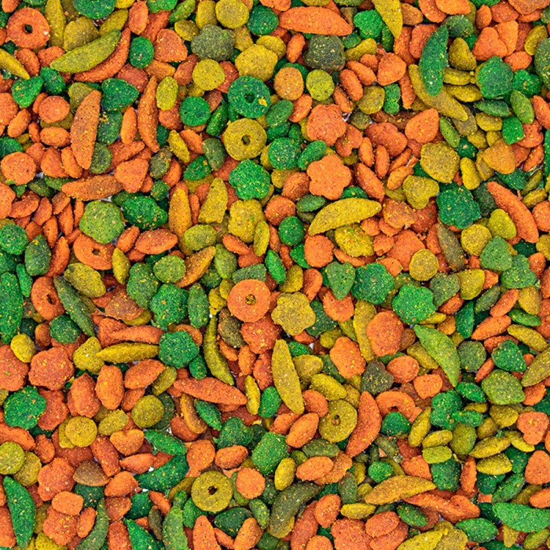 Nutribird P19 - Tropical Criação - Versele - Laga