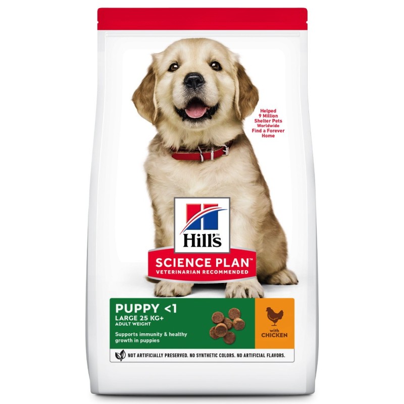 Ração para cachorro de porte grande - Hill's Puppy Large
