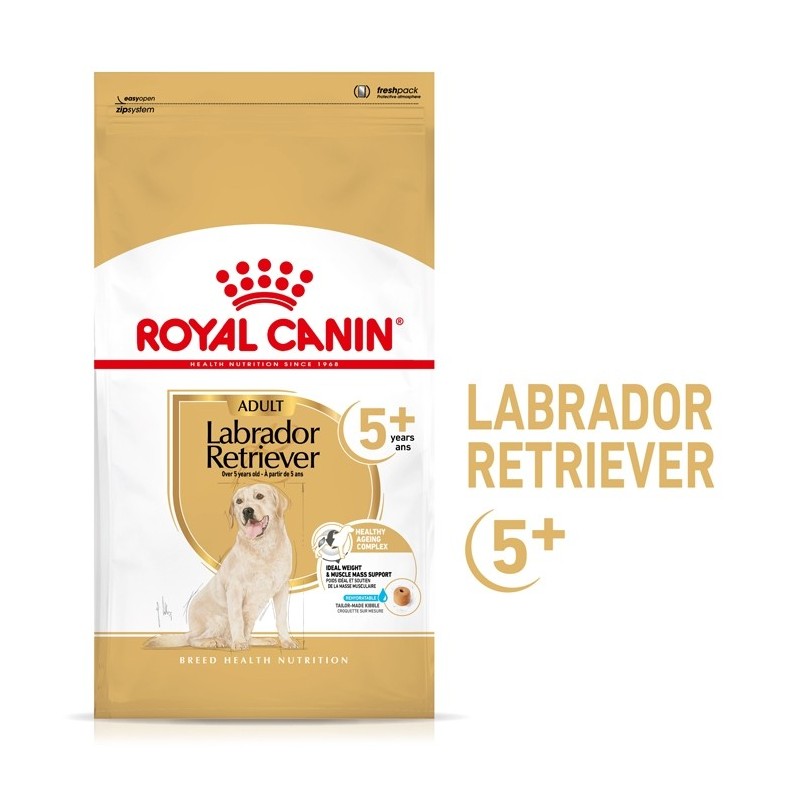 Ração para cão Royal Canin Labrador 5+