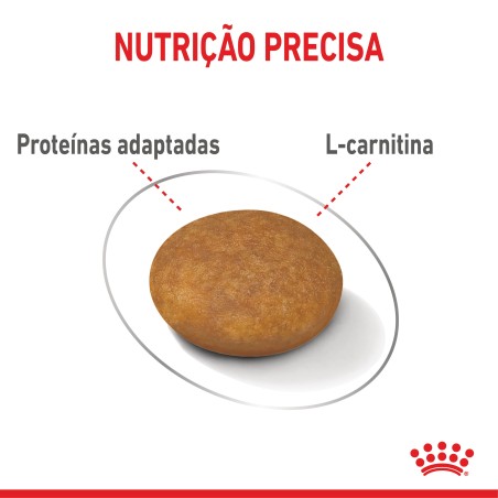 Ração para cão Royal Canin Light Weight Care X-Small