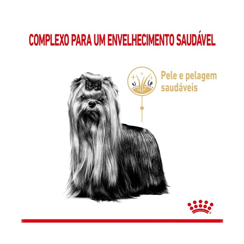Ração para cão Royal Canin Yorkshire Terrier 5+
