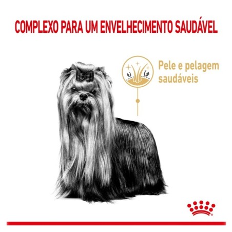 Ração para cão Royal Canin Yorkshire Terrier 5+